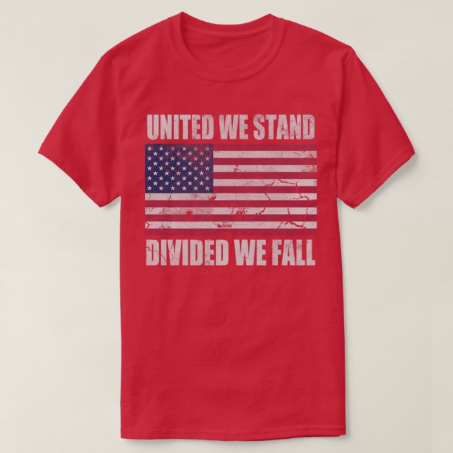 America United We Stand Divided We Fall T-Shirt (Design Front)