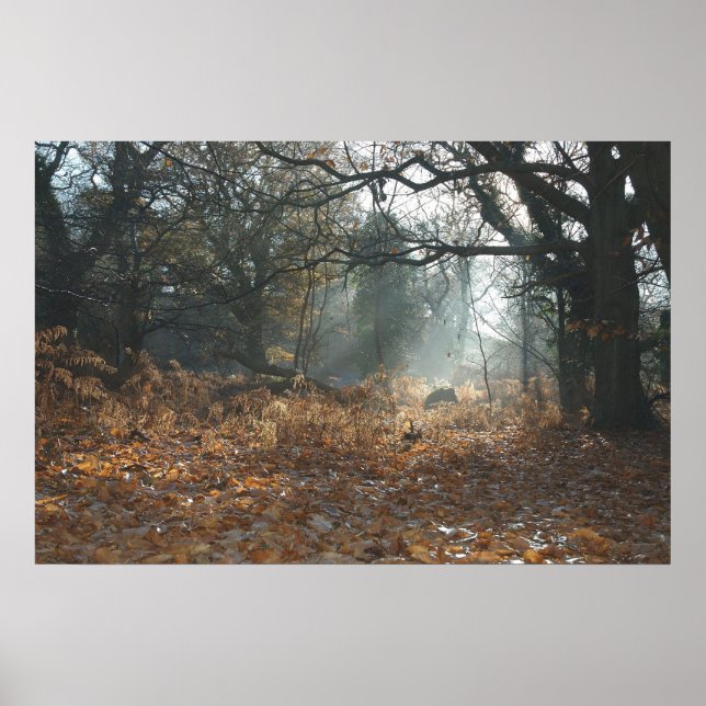 America wood poster (Front)