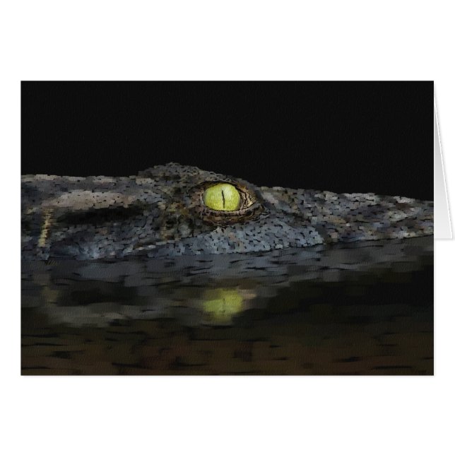 American Alligator (Front Horizontal)