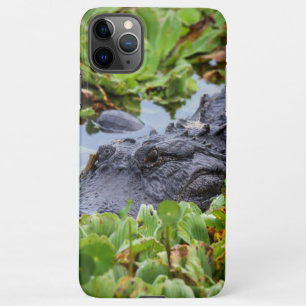 American Alligator amongst the plants - Vibrant  iPhone 11Pro Max Case