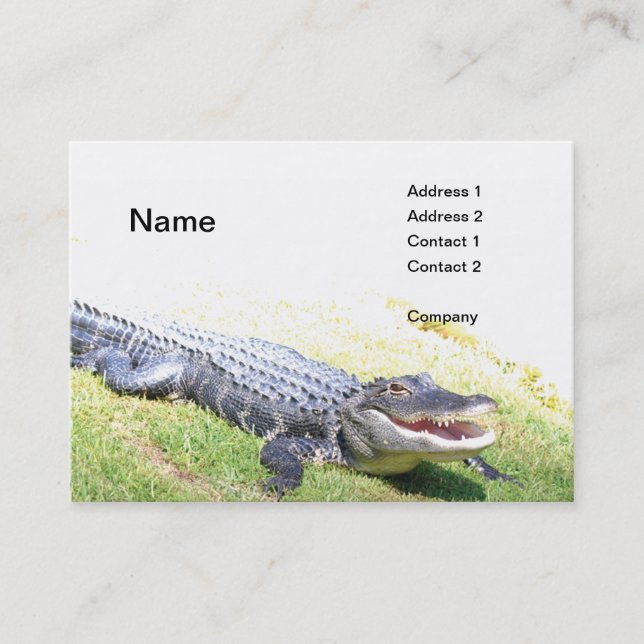american alligator business card (Front)
