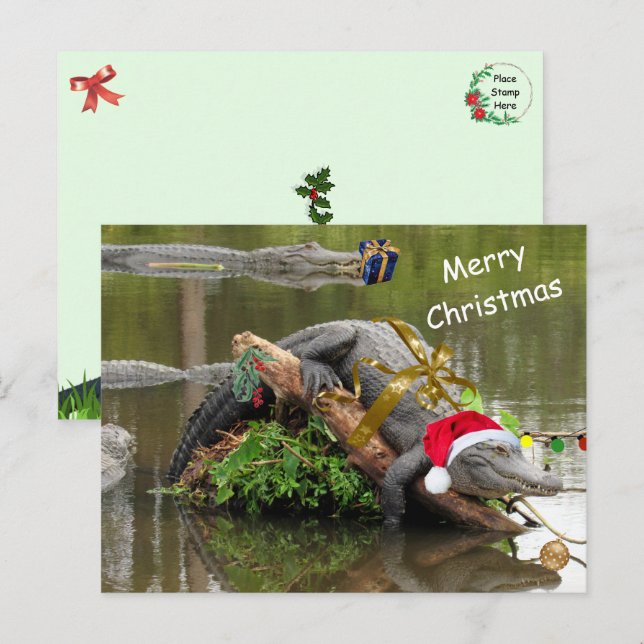 American Alligator Christmas Postcard (Front/Back)