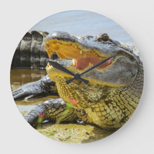 American Alligator face to face Large Clock