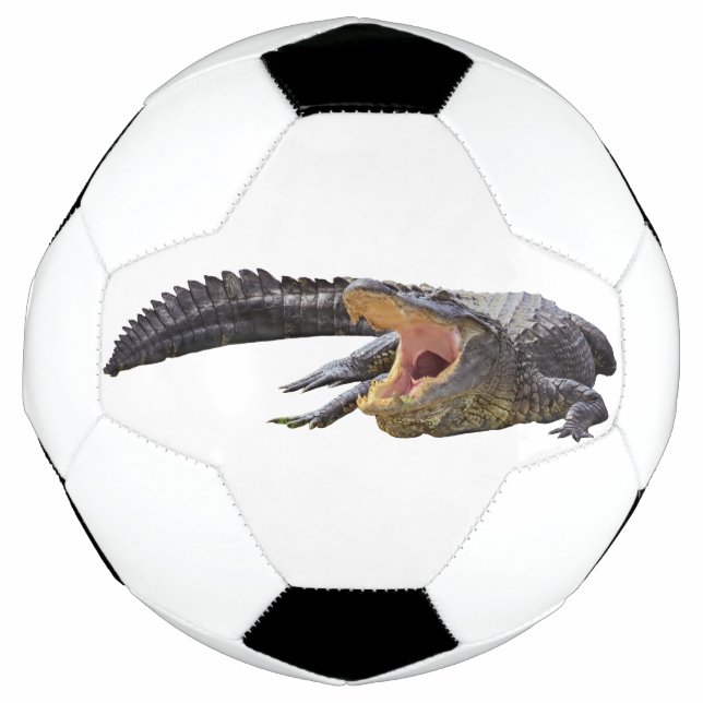 American alligator - Florida wildlife Football (Front)
