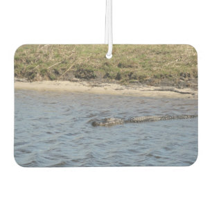 American Alligator in Florida Marsh Water Car Air Freshener