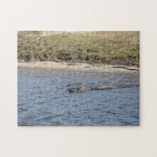 American Alligator in Florida Marsh Water Jigsaw Puzzle