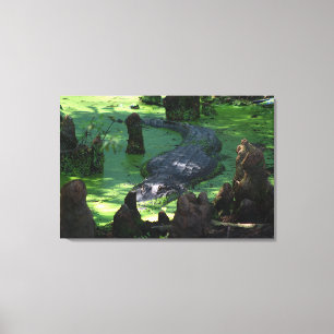 American Alligator In The Swamps Fine Art Photo Canvas Print