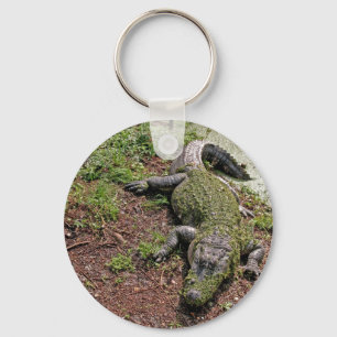 American Alligator Key Ring