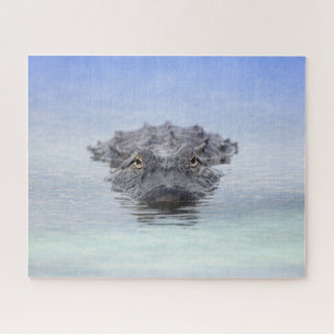 American Alligator – Lake Apopka Wildlife Drive Jigsaw Puzzle