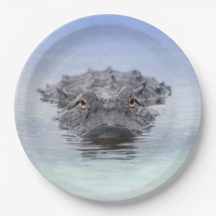 American Alligator – Lake Apopka Wildlife Drive Paper Plate