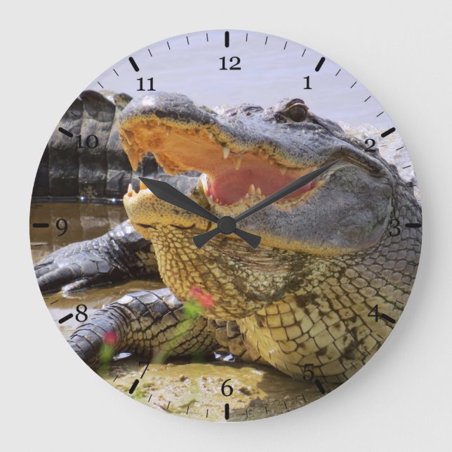 American Alligator Large Clock (Front)