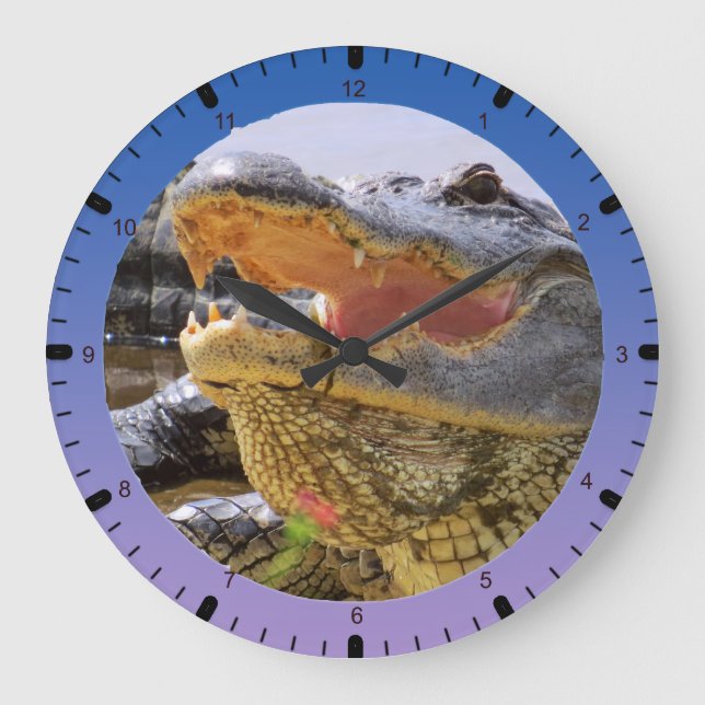 American Alligator Large Clock (Front)