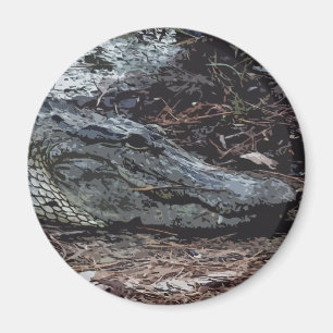 American Alligator Magnet