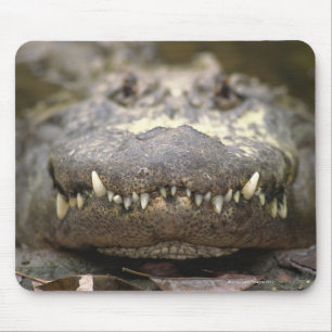 American alligator mouse mat