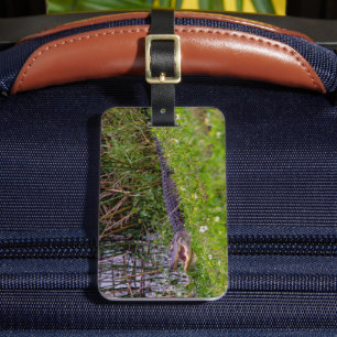 American Alligator on Grassy Bank Luggage Tag