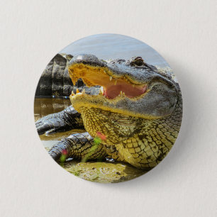 American alligator portrait - Face to face 6 Cm Round Badge