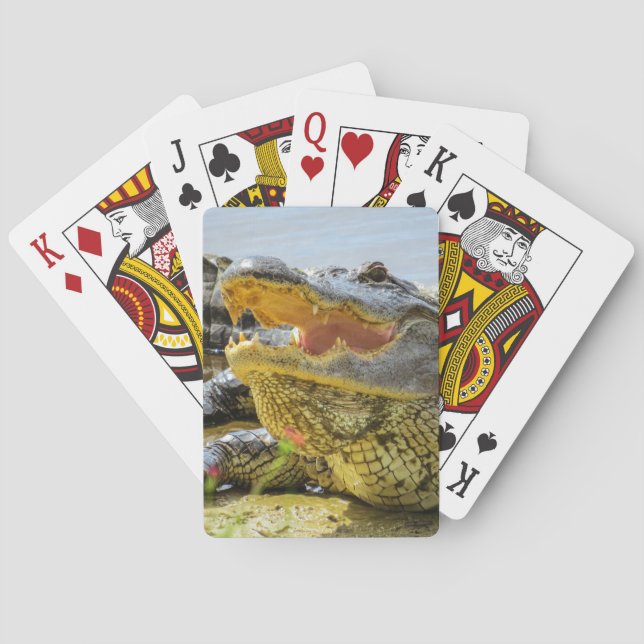 American alligator portrait - Face to face Playing Cards (Back)