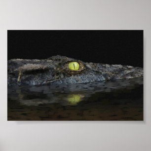 American Alligator Poster