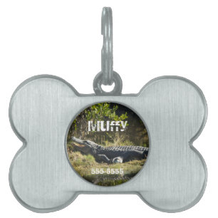 American Alligator Resting Florida Personalise Pet Name Tag