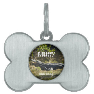 American Alligator Resting Florida Personalise Pet Name Tag