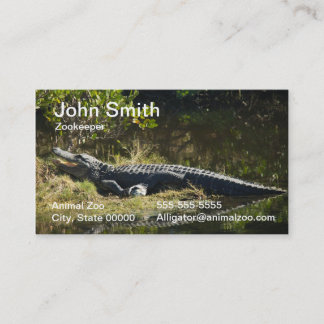 American Alligator Resting Wetland Nature Photo Business Card