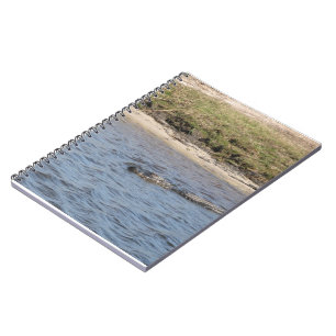 American Alligator Swimming in a Marsh Notebook
