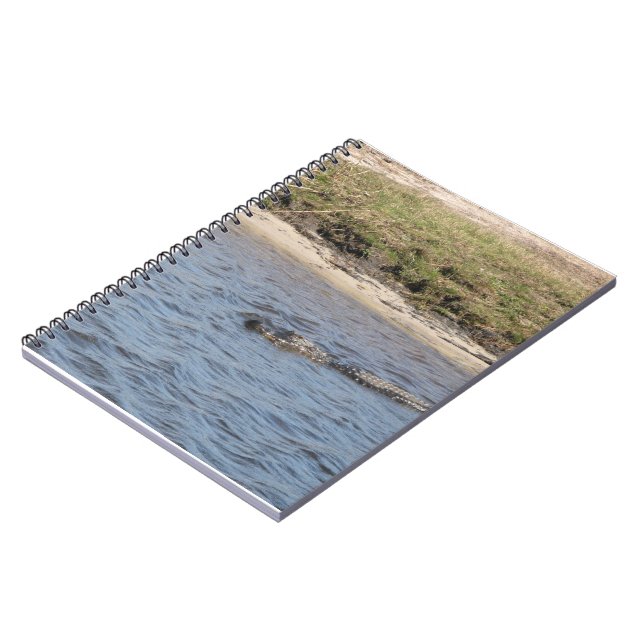 American Alligator Swimming in a Marsh Notebook (Left Side)