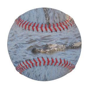 American Alligator Swimming in a Marsh River Baseball
