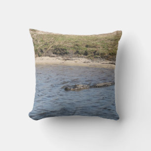 American Alligator Swimming in a Marsh River Cushion