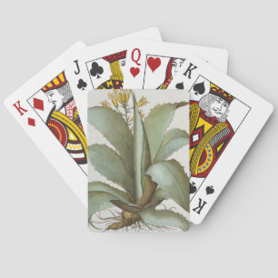 American Aloe: Aloe Americana, from the 'Hortus Ey Playing Cards