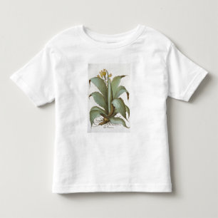 American Aloe: Aloe Americana, from the 'Hortus Ey Toddler T-Shirt