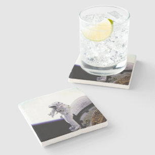 American astronaut stone coaster