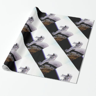American astronaut wrapping paper