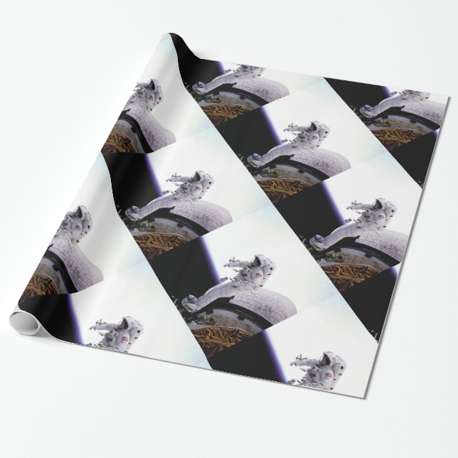 American astronaut wrapping paper (Unrolled)