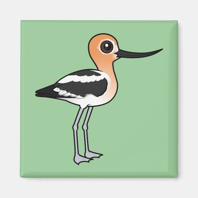 American Avocet Magnet (Front)