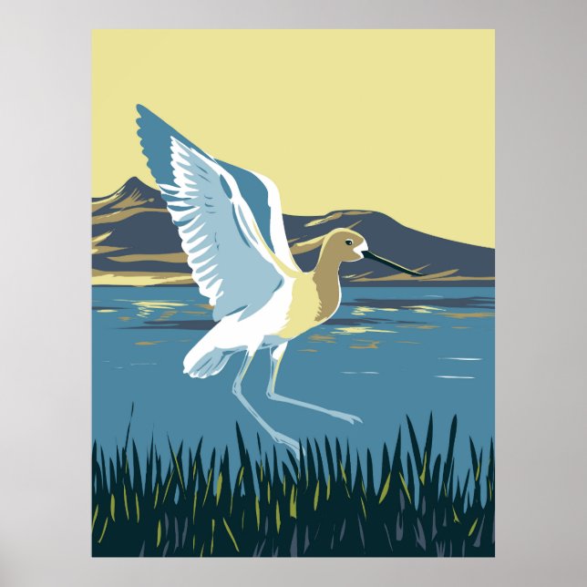 American Avocet Poster (Front)