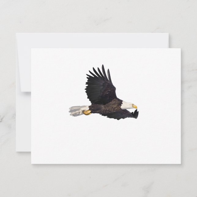 American Bald eagle (Front)