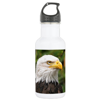 American Bald Eagle 532 Ml Water Bottle