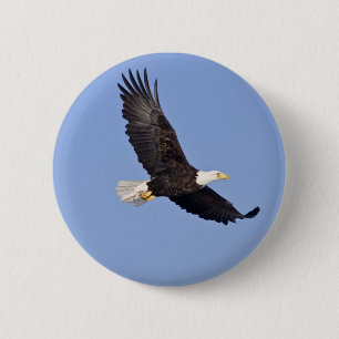 American Bald Eagle 6 Cm Round Badge