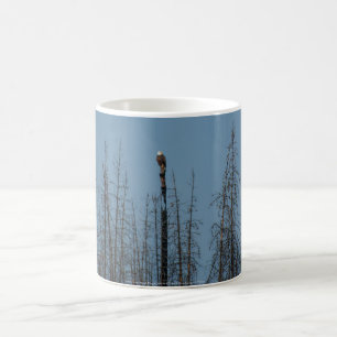 American Bald Eagle 8974 Coffee Mug