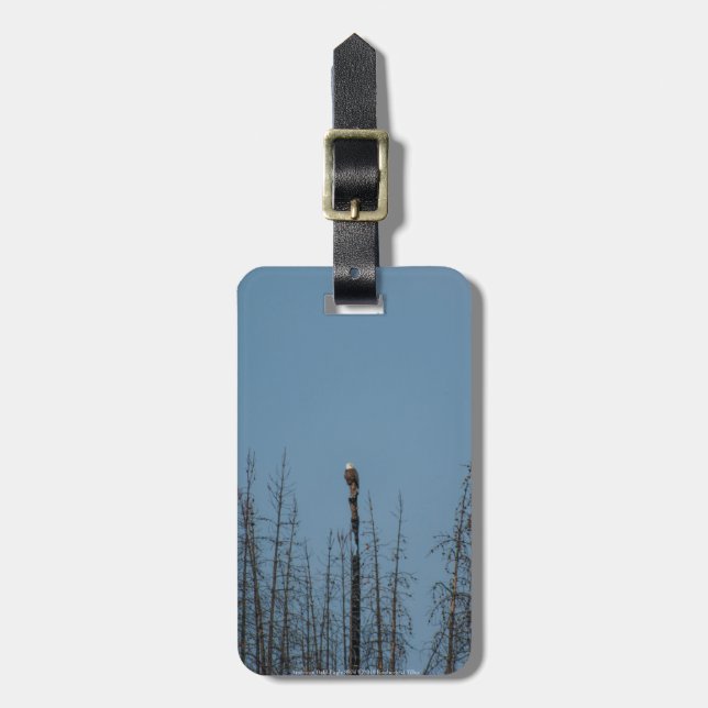 American Bald Eagle 8974 Luggage Tag (Front Vertical)