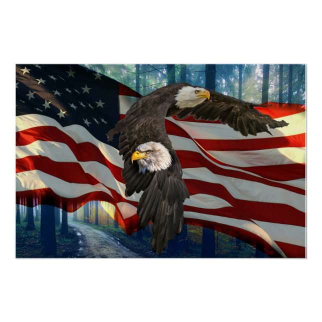 American Bald Eagle American Flag  Poster (Front)