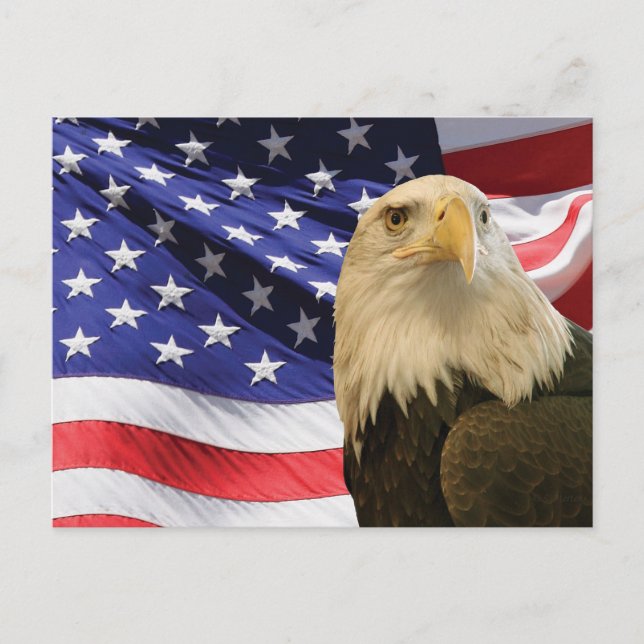 American Bald Eagle and Flag Postcard (Front)