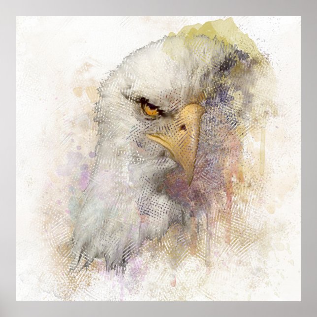 American Bald Eagle Bird Of Prey Watercolor Poster (Front)