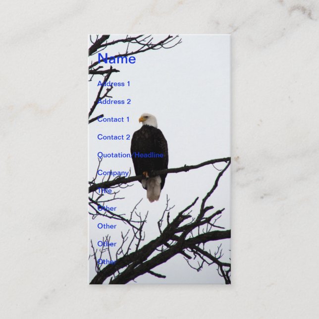American Bald Eagle Business Card (Front)