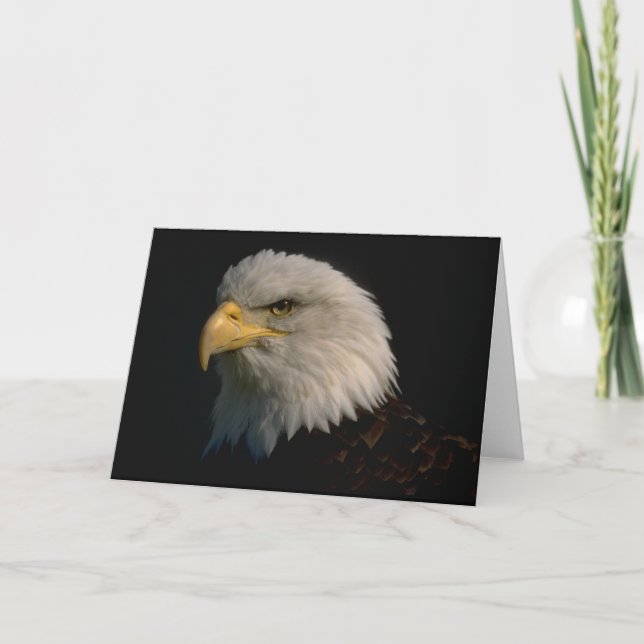 American Bald Eagle Card (Front)