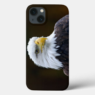 American Bald Eagle iPhone 13 Case