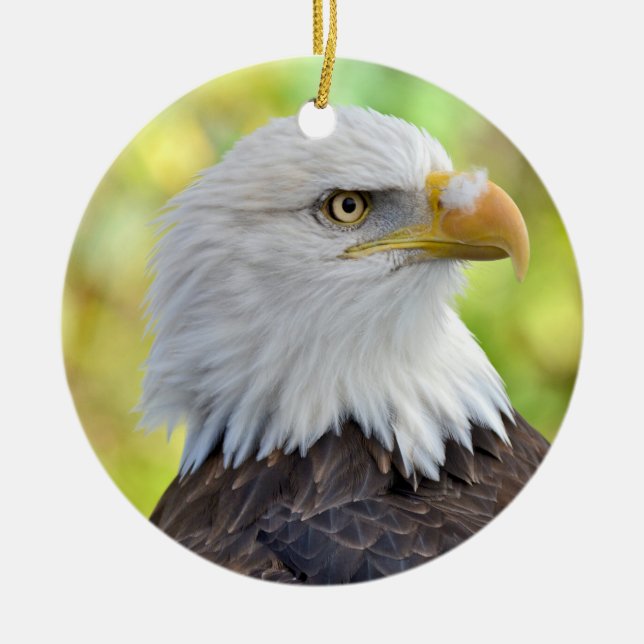 American bald eagle ceramic tree decoration (Front)