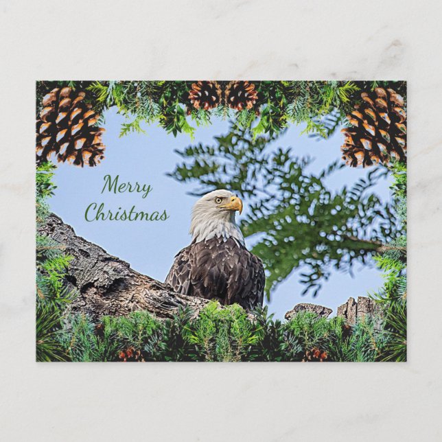 American Bald Eagle Christmas Card (Front)