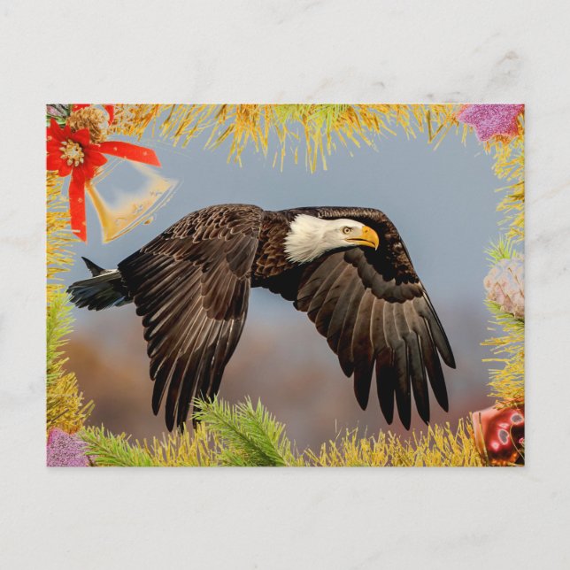 American Bald Eagle Christmas Card (Front)